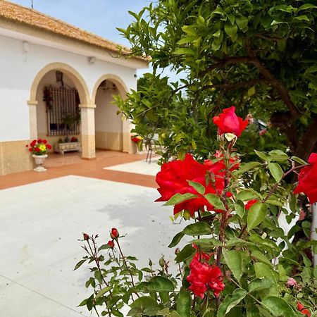 Cañada del RabadánLa Casa Del Flamenco别墅 外观 照片