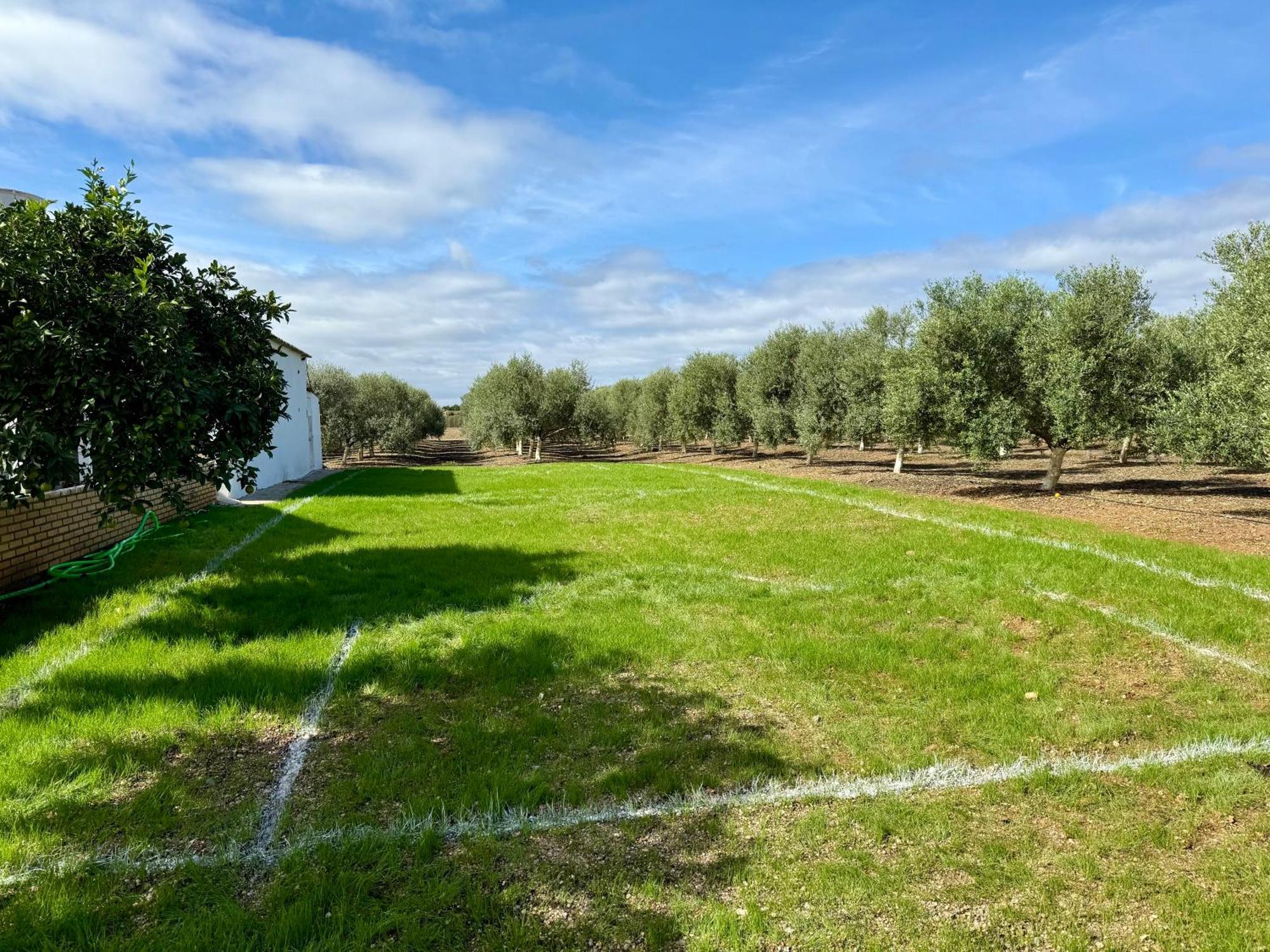 Cañada del RabadánLa Casa Del Flamenco别墅 外观 照片