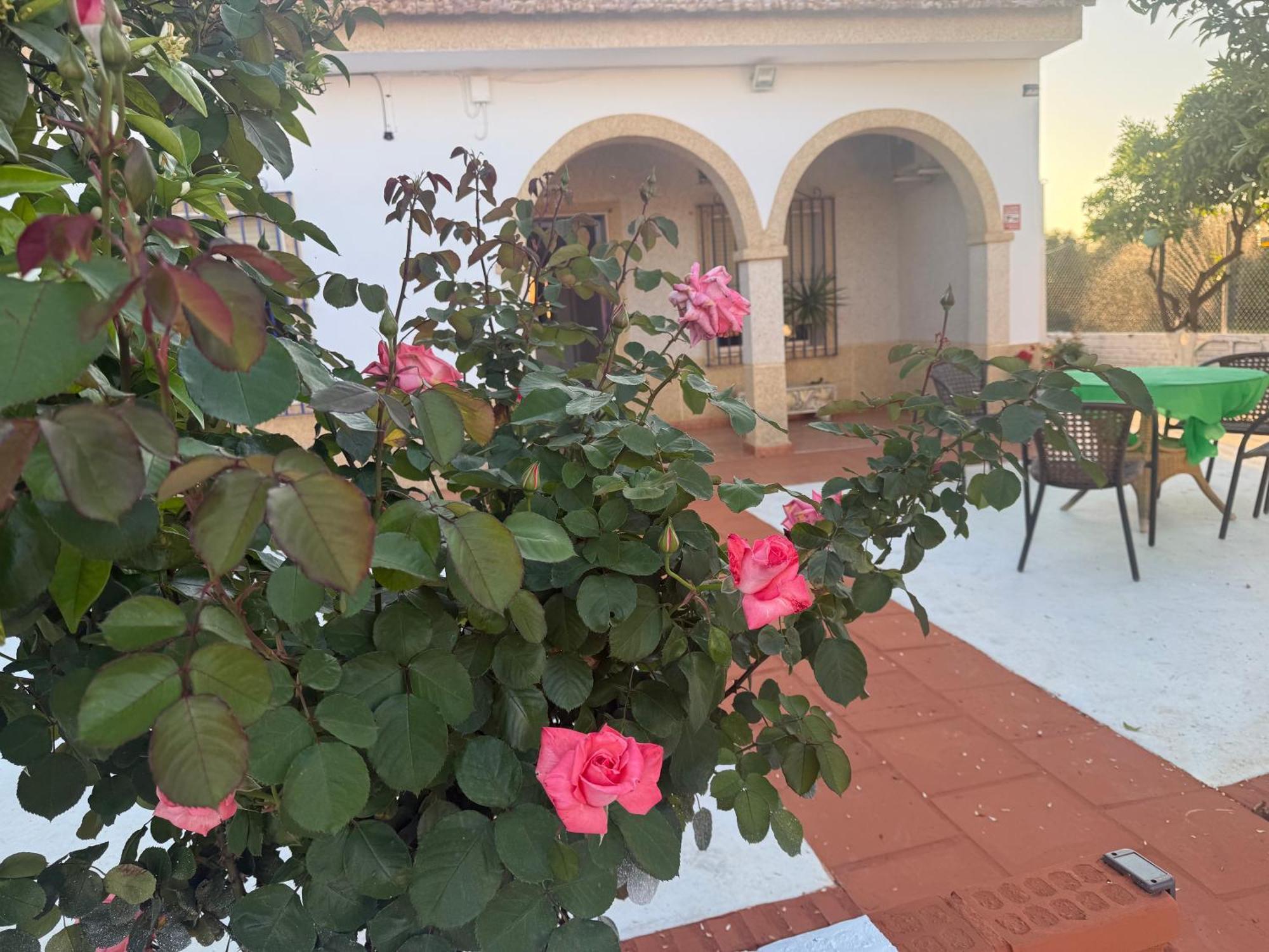 Cañada del RabadánLa Casa Del Flamenco别墅 外观 照片