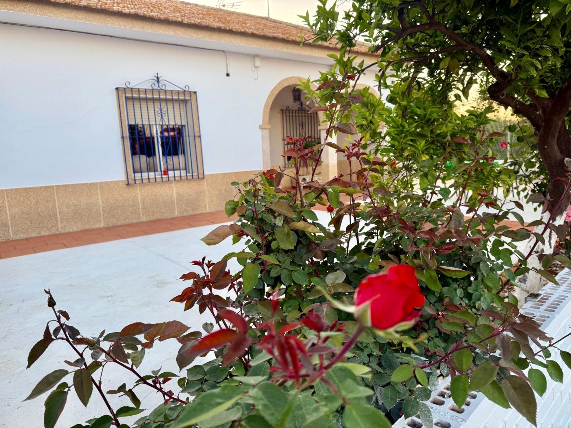Cañada del RabadánLa Casa Del Flamenco别墅 外观 照片