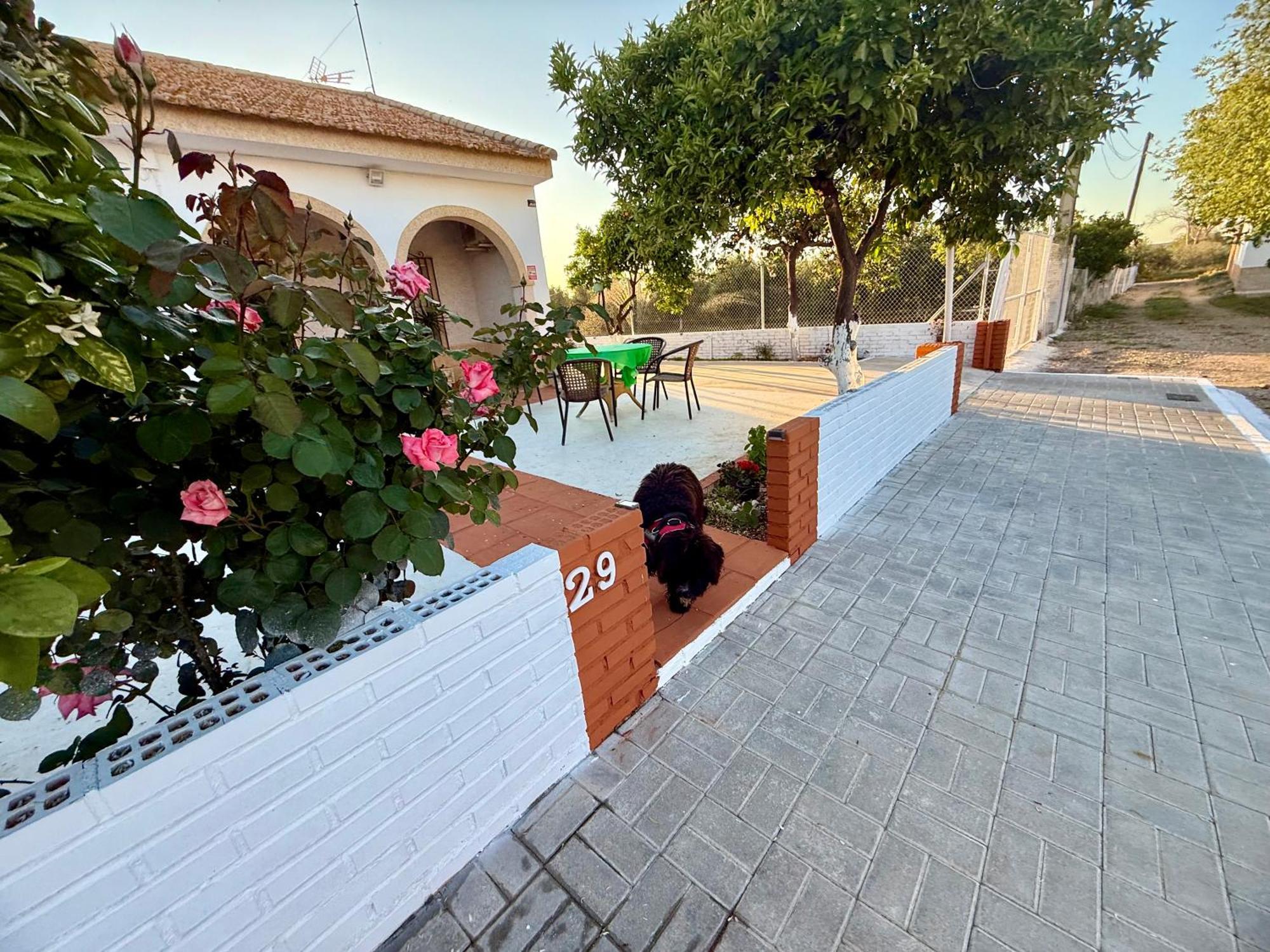 Cañada del RabadánLa Casa Del Flamenco别墅 外观 照片
